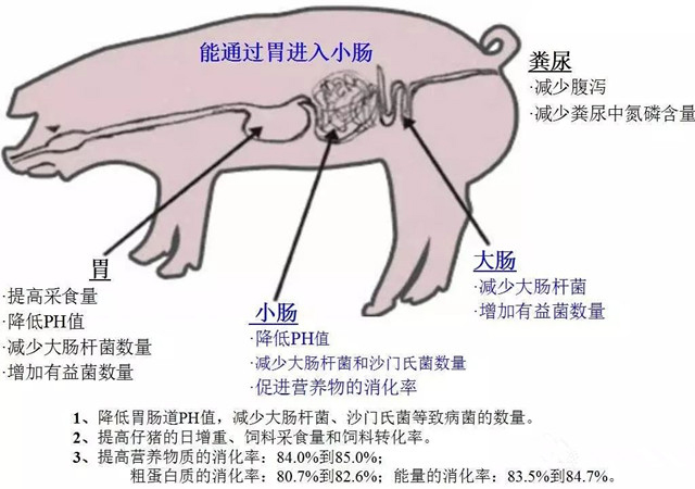 二甲酸钾